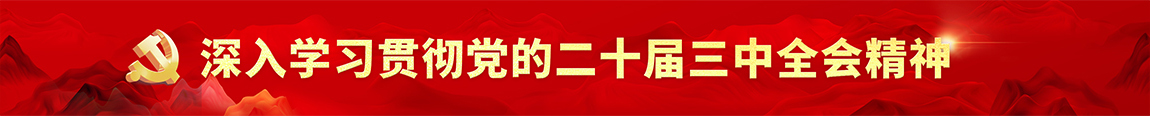 深入学习贯彻党的二十届三中全会精神
