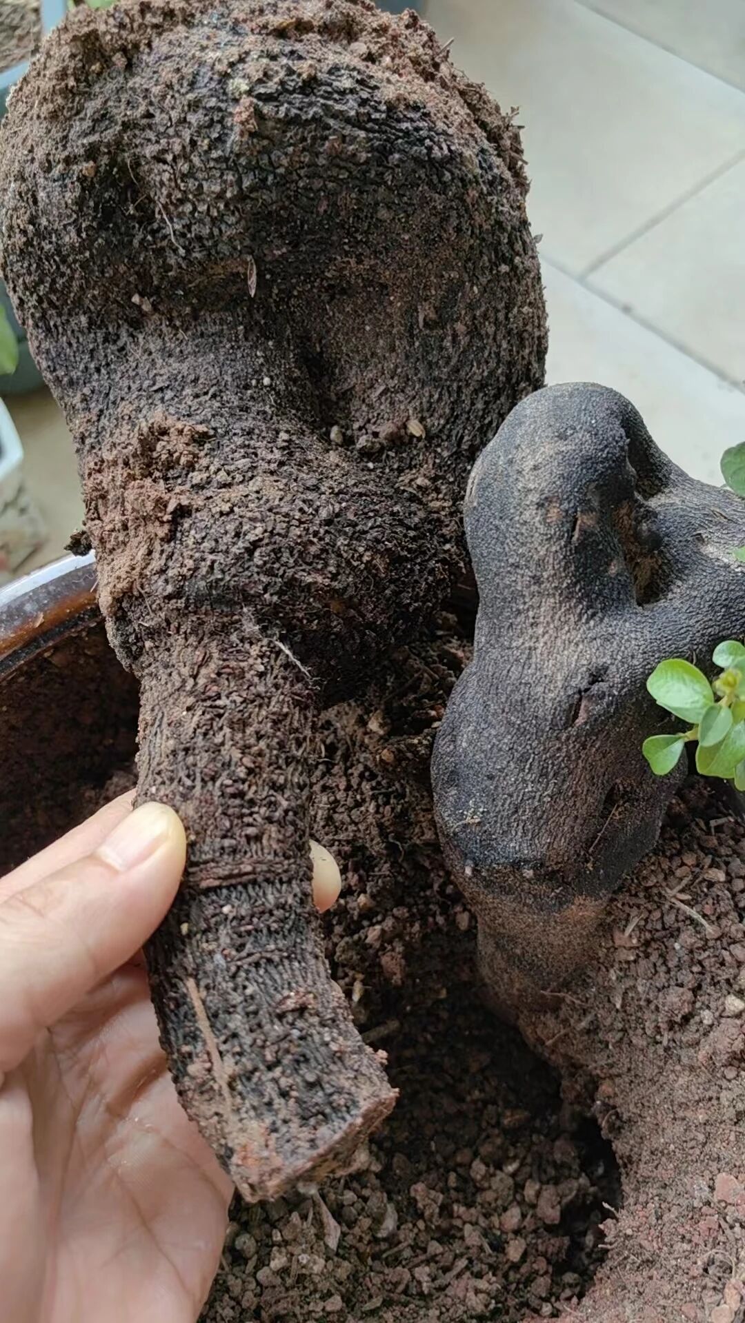 微信图片_2025-10-15_150548_860 微信图片_2025-10-15_150548_860