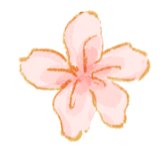 微信图片_2025-11-19_155544_292